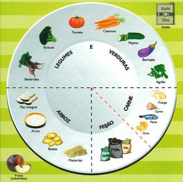 ELABORAÇÃO DE UMA DIETA EQUILIBRADA